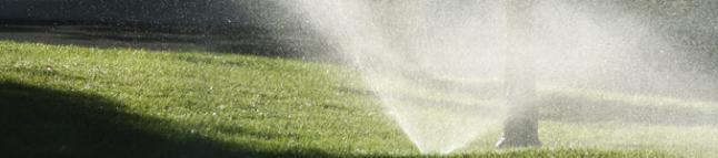 a sprinkler system optimized for saving water